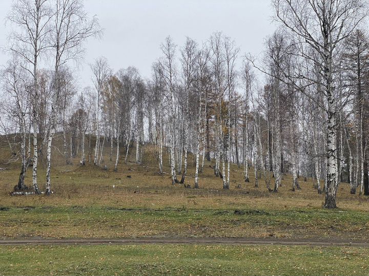 Участок 15 сот. (ИЖС)