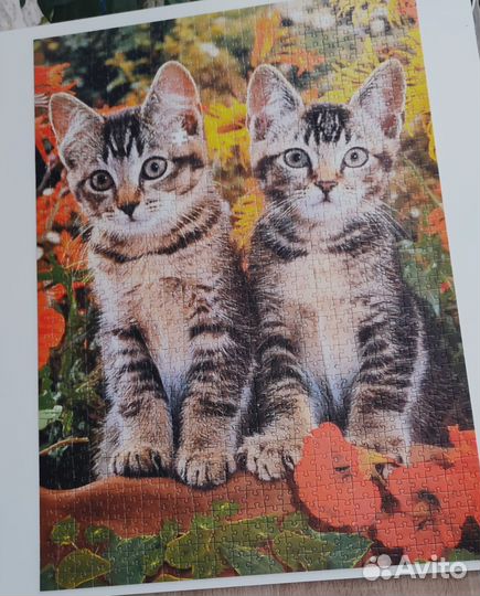 Пазл castorland 1000 и 500 деталей