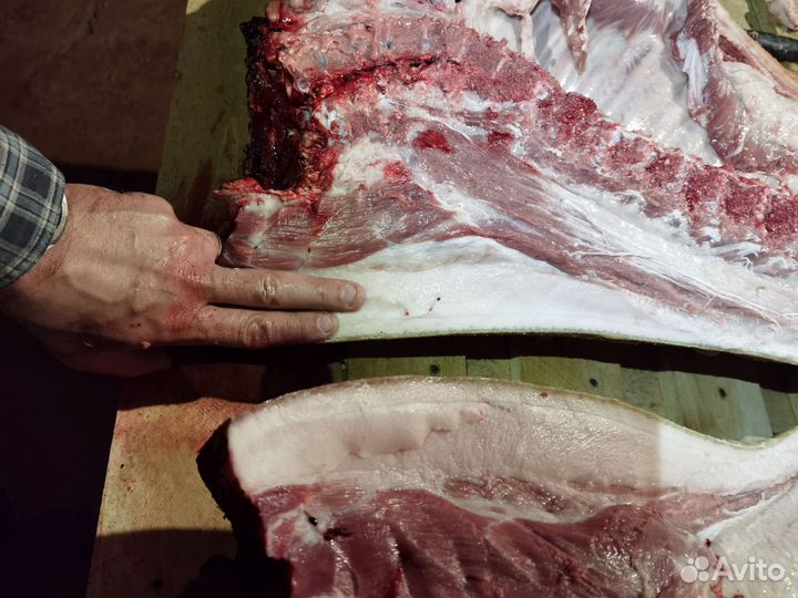 Мясо свинина домашняя
