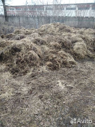 Навоз коровий