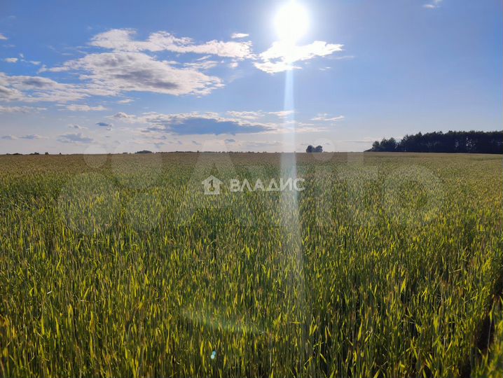 Продам помещение свободного назначения, 100 м²