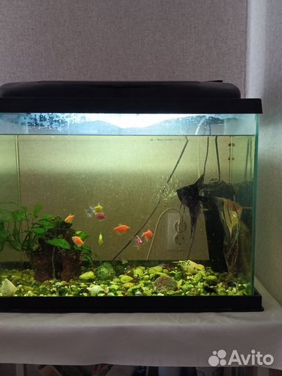 Аквариум