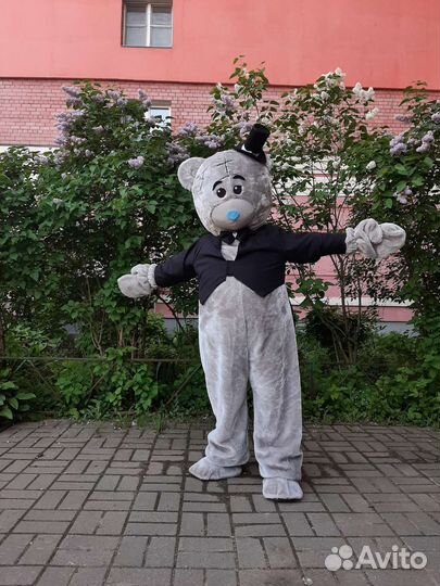 Мишка Тедди поздравление, ростовая кукла, аниматор