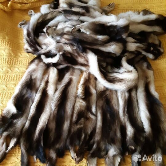 Шкурки хоря. Обмен