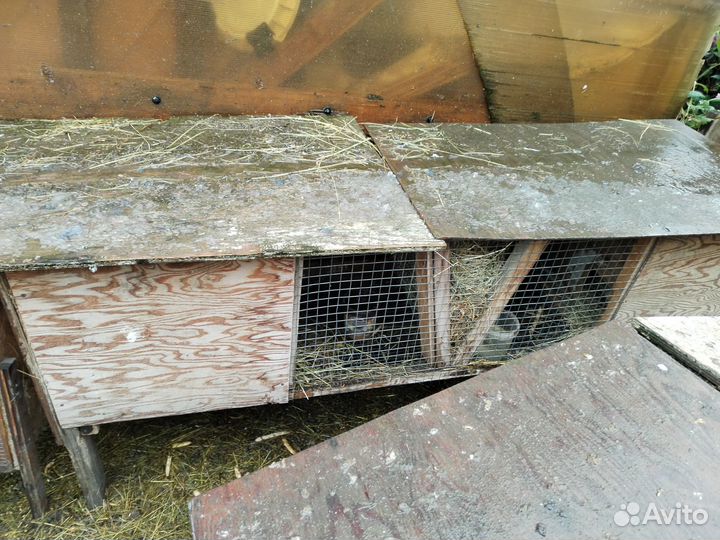 Клетка для кролика