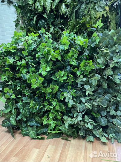 Модуль с растениями