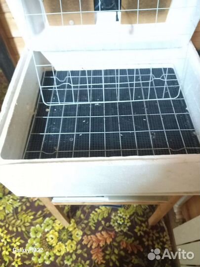 Инкубатор для яиц автоматический бу