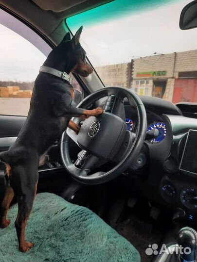 Кобелёк для вязки