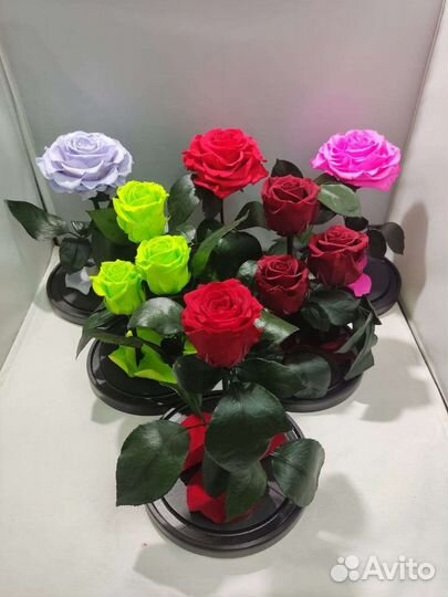Роза в колбе оптом и в розницу