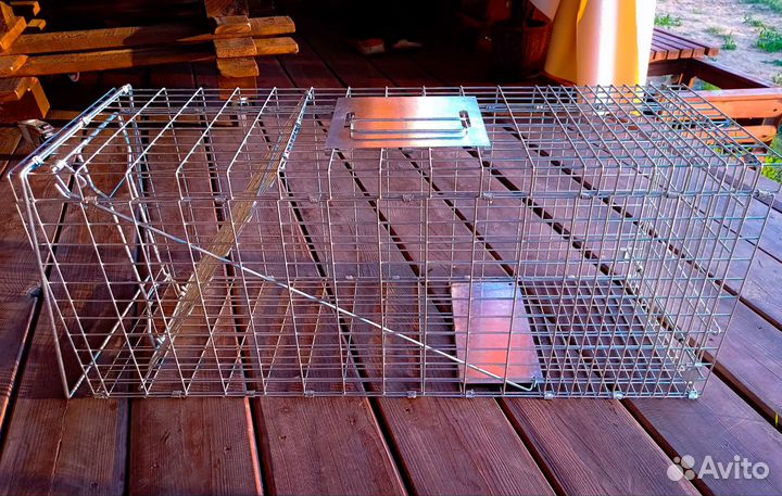 Котоловка в аренду