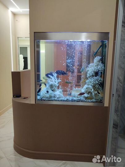 Обслуживание, перезапуск, перевозка аквариумов