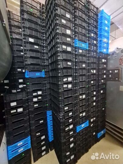 Для хранения или транспортировки, грибной ящик