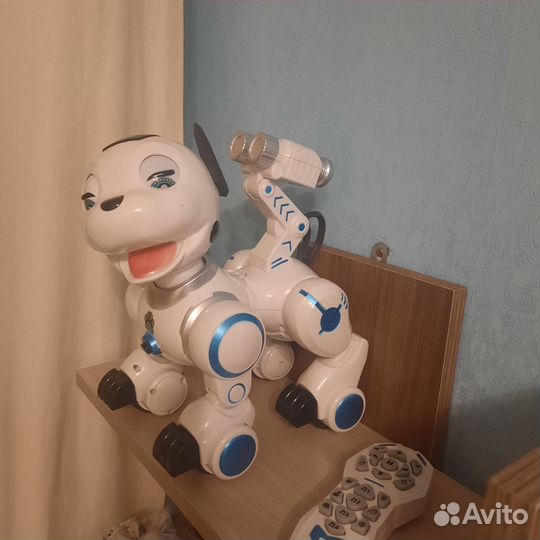 Робот собака на управлении