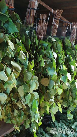 Веники березовые и дубовые для бани