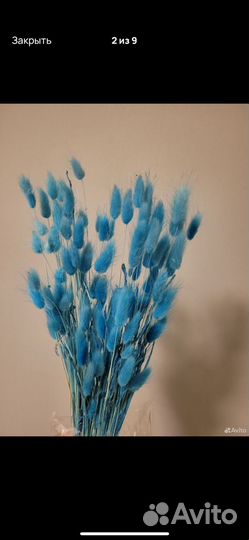 Набор для творчества