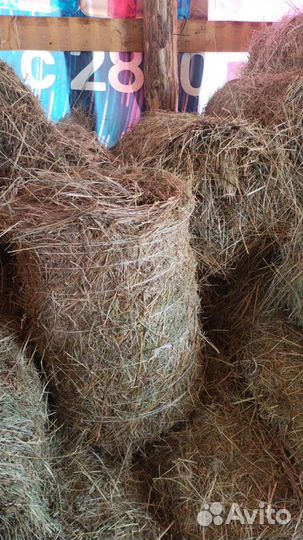 Сено в рулонах