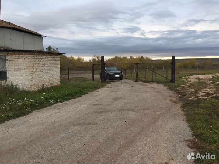 Фермерское хозяйство в Самарской области