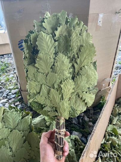 Веники для бани