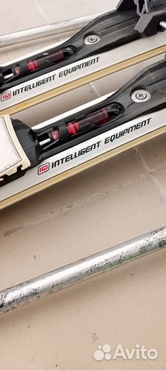 Горные лыжи