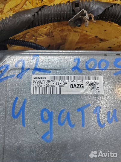 Проводка двигателя Ford focus 2 1.6 115лс