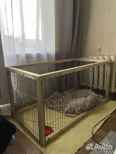 Вольер для собак бу