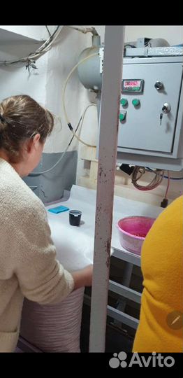 Семена кукурузы гибрид Краснодарский 291