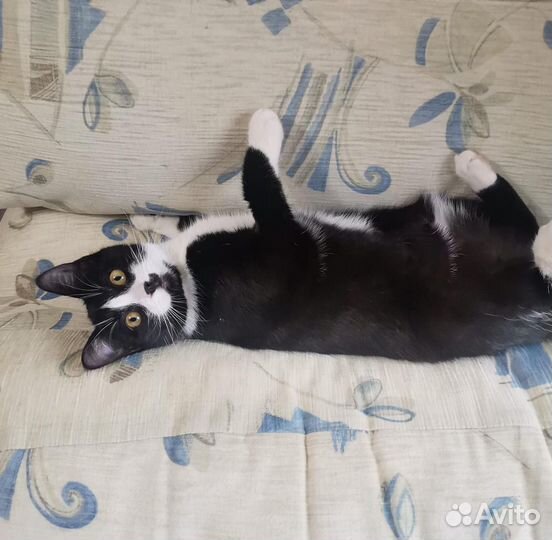 Нежнейшая Сметанка