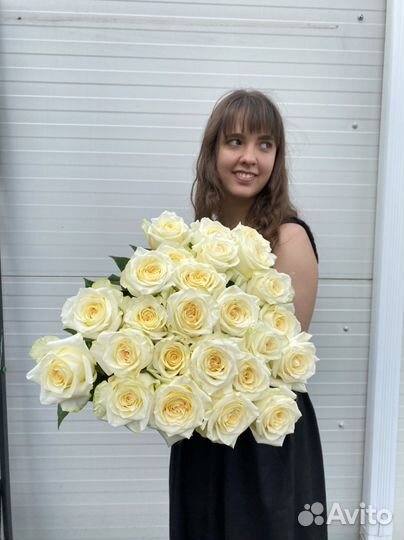 Роза Эквадор оптом