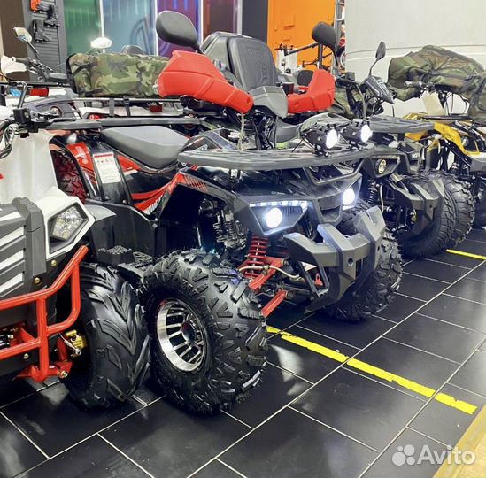 Квадроцикл motorhead 125 hammer