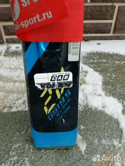 Горные лыжи