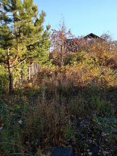 Участок 5,5 га (СНТ, ДНП)