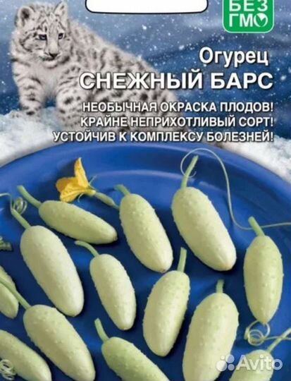 Огурчики Снежный Барс семена