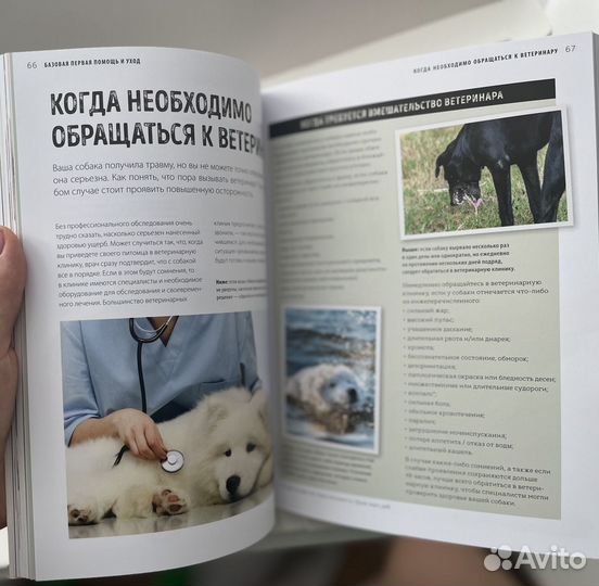 Книги про домашних любимцев