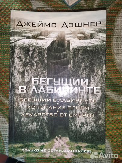Бегущий в лабиринте книги