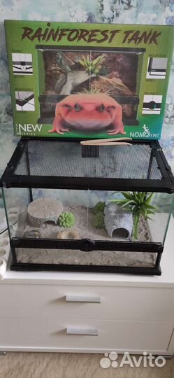 Террариум для эублефаров
