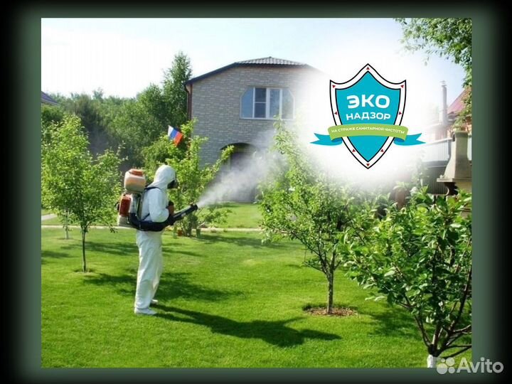 Уничтожение тараканов клопов комаров дезинфекция