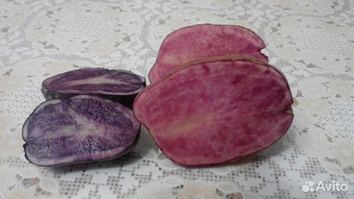 Цветной картофель (семенной картофель почтой)