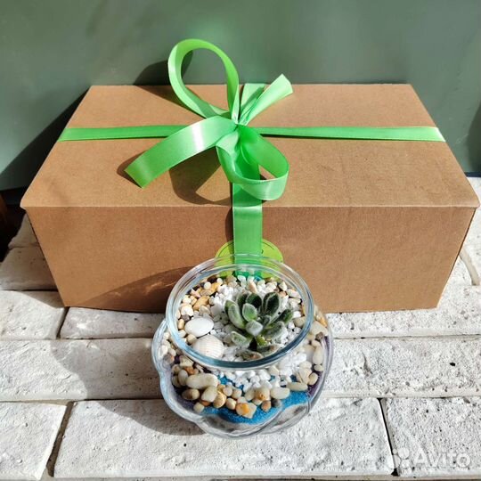 Набор для создания флорариума