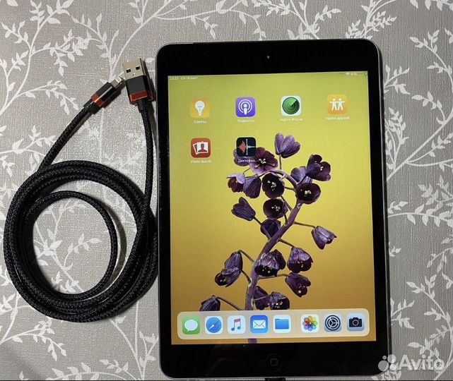 iPad mini 2