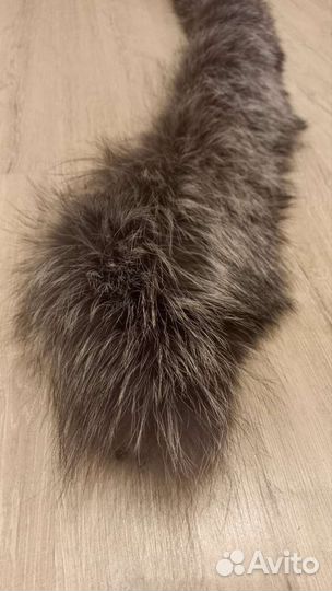 Меховой воротник песец