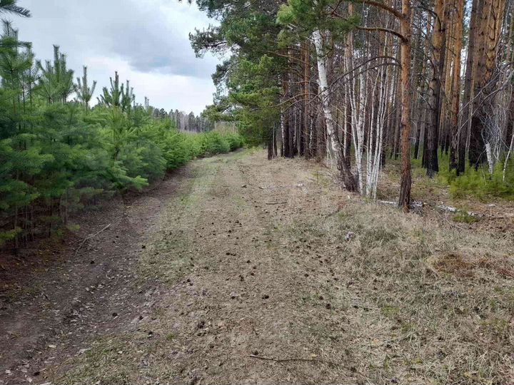 Участок 19,9 га (СНТ, ДНП)