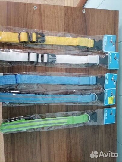 Светящиеся ошейники