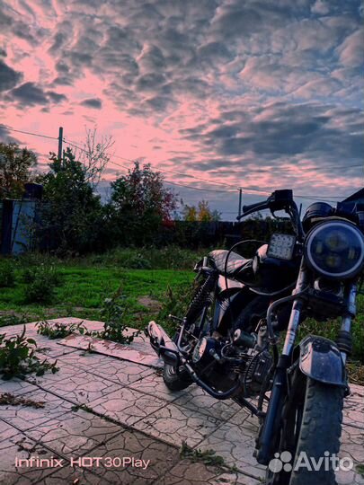 Альфа спорт