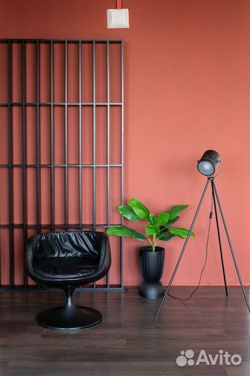 Фотостудия в аренду