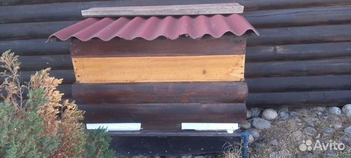 Ульи, пчелиная семья, пчелопакеты