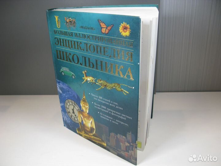 Большая Энциклопедия школьника