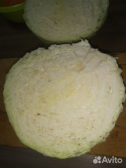 Капуста белокочанная