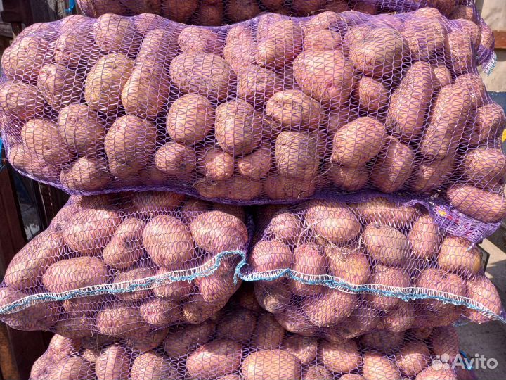 Картофель на еду