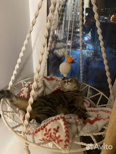 Гамак для кошек макраме