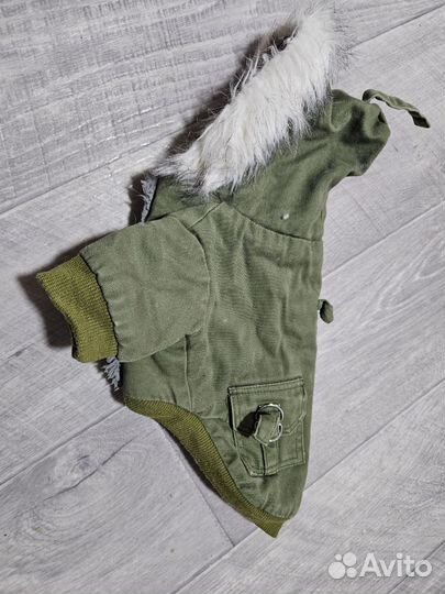 Одежда для собак. Комбинезон, дождевик, куртка